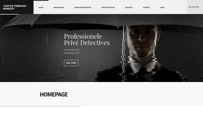 Website van GoldenEyes Recherche & Security